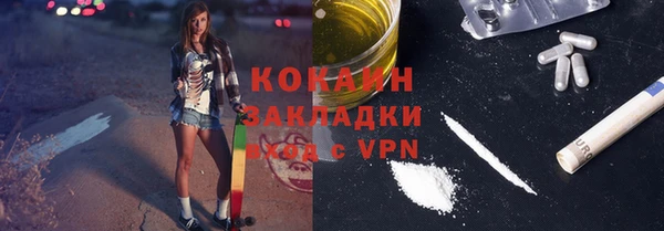 дмт Дмитров