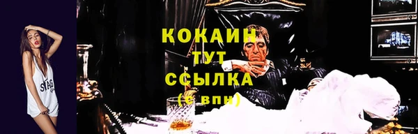 дживик Дмитриев
