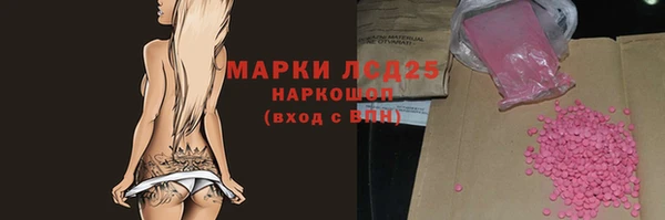 дмт Дмитров