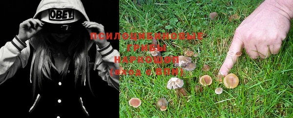 дмт Дмитров