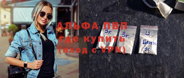 дмт Дмитров