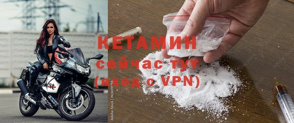 дмт Дмитров
